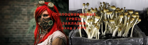 спиды Алексин